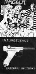 Intumescence : Maggut - Intumescence